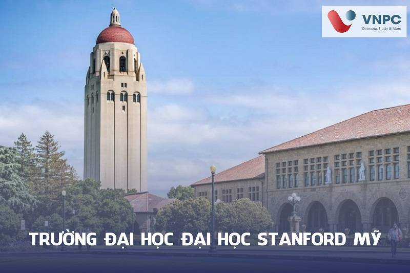 77King 78 trò chơi hấp dẫn stanford